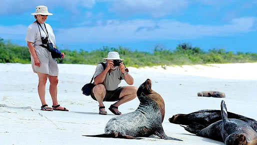 Christmas in Galapagos 2023 - 8 day cruise on the Millenium Yacht