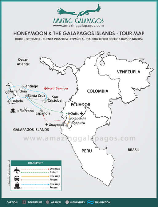 Honeymoon & The Galapagos Islands
