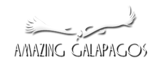 Logo Amazing Galapagos