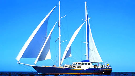 Beagle Yacht - Galapagos Cruise