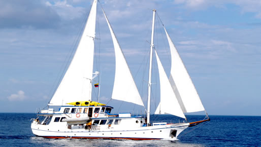 Cachalote Yacht 