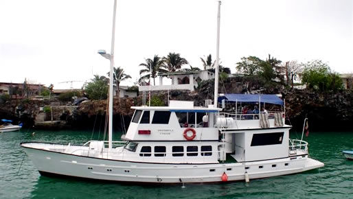 Golondrina  - Galapagos Cruise