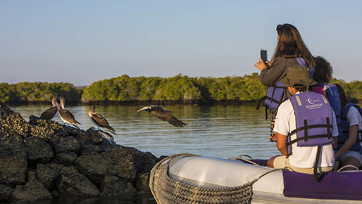 2025-26 Christmas in Galapagos & New Year's in Brazil
Montserrat First Class yacht
