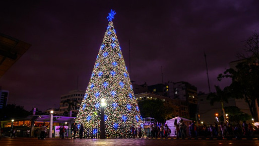 2025-26 Christmas in Galapagos & New Year's in Buenos Aires
Montserrat First Class yacht
