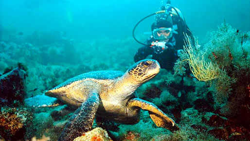 Quito - The Galapagos Islands - Cotopaxi