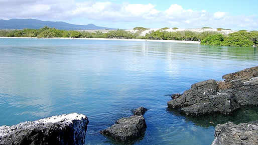 Galapagos Island - Land Based Adventure Tours