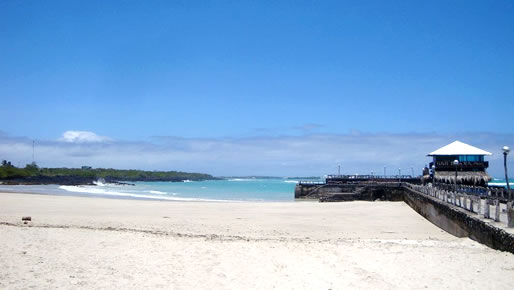 Santa Cruz and Isabela Island Ecuador & Galapagos Adventure Land Tour