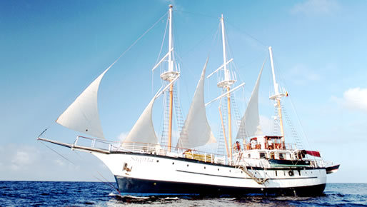 First Class 8 day Galapagos cruise & Machu Picchu Christmas Tour