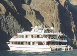 4 day cruise on the Millenium Yacht (Fist Class)