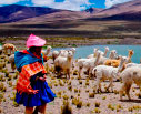 2024 Adventure Peru & Galapagos Land Based Tour