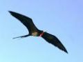 Tours Galapagos