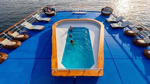The Essential Galapagos Cruise Expedition - 2025