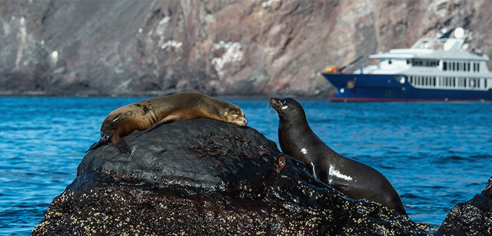 GALAPAGOS LUXURY CRUISES & PRIVATE CHARTERS 2025/2026