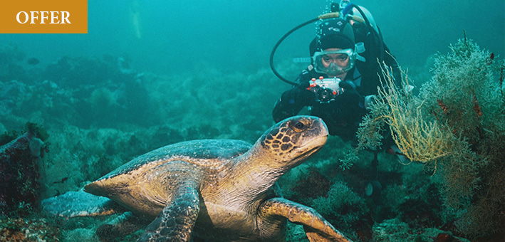 CHRISTMAS & NEW YEARS IN GALAPAGOS 2025