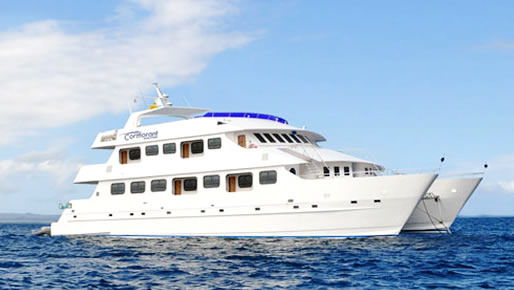 Cruise Cormorant II